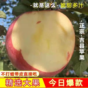 山西壶口瀑布农产品脆甜苹果红富士新鲜采摘应季水果精选特大条纹