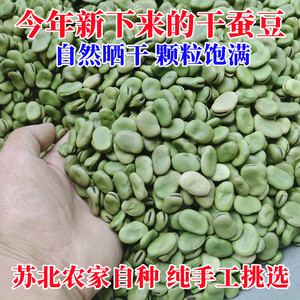 2023年新蚕豆 农家自种干蚕豆 青胡豆新绿皮蚕豆油炸罗汉豆莲花豆