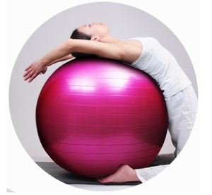 感统教具感觉统合锻炼器材健身球瑜伽球触觉球*大龙球65cm包邮价