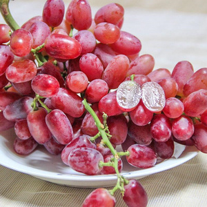 新疆无籽红提新鲜克伦生葡萄当季马奶提子孕妇水果特产顺丰包邮