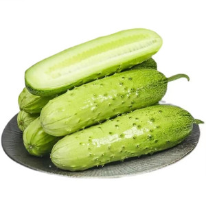 烟台海阳白玉黄瓜新鲜水果应季农家蔬菜即食小黄瓜5斤顺丰包邮