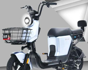 台铃z8l-g 24ah大容量可拆卸锂电 北京可上牌