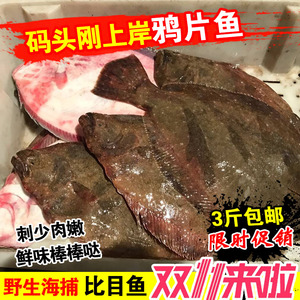 鸦片鱼