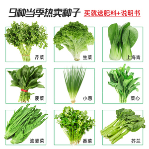 适合四季种的菜种菜种蔬菜种子大全菜籽疏菜孑种籽各种菜子种批发