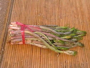 东北野生龙须菜