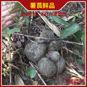 野生薯莨血三七朱砂七血葫芦朱砂莲红孩儿血娃食用鲜品500g中草药