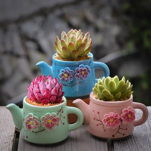 创意手工捏花茶壶多肉花盆陶瓷粗陶透气多肉植物花盆包邮特价清仓