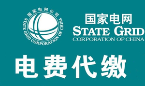 国家电网电费代缴全国北京上海浙江福建江苏辽宁天津山东100元
