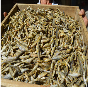 小鱼干干货小鱼仔淡水