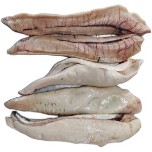 青鱼冷冻