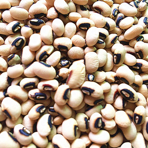 眉豆5斤 湖南农家自产白饭豆白豇豆豆类五谷杂粮粗粮种籽豆子干货