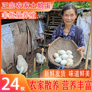 新鲜正宗四川农家散养土鹅蛋24枚120-140g孕妇粮食笨鹅蛋