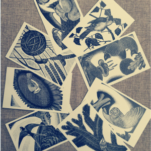 汉唐阳光图书周边 《塞耳彭自然史》木刻版画 明信片 一套8张