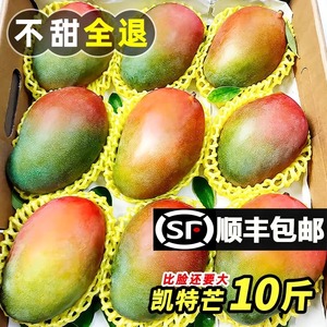 四川攀枝花凯特大芒果应当季新鲜水果香甜无丝大芒果10斤整箱包邮
