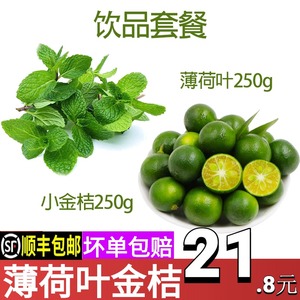 新鲜薄荷叶食用饮品小金桔水果茶套餐调酒装饰500g多省顺丰包邮