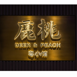 不锈钢电镀钛金拉丝字室内背景墙logo创意设计店铺门头发光字定制