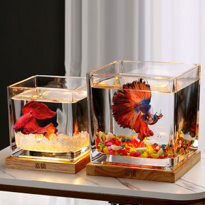 超白加厚方形玻璃鱼缸客厅办公桌面创意生态小型斗鱼缸夜灯迷你缸