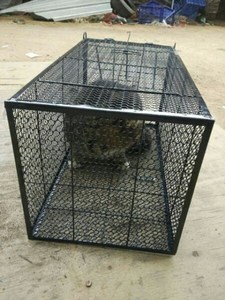 捕狼夹子地夹子