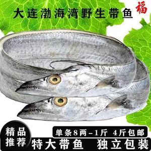 正宗大连渤海湾刀鱼4斤5条大带鱼渤海湾油刀鱼单条单冻海鲜水产