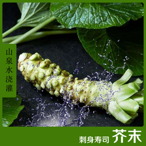 鲜山葵根wasabi 山葵根鲜山葵芥末辣根1-2根/总重60g 包邮顺丰