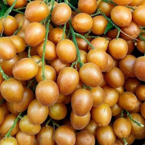 鸡心黄皮果新鲜水果热带广东鲜果现摘当季应季整箱包邮酸甜广西5