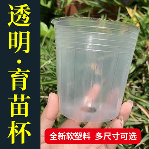 塑料营养杯育苗杯蝴蝶兰专用种植杯君子兰花栽培育苗盆透明营养钵