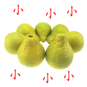 南康甜柚小柚子20斤江西土特产农家果园现摘沙田柚特价赣南斋婆柚