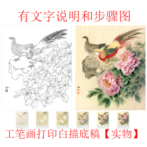 有步骤国画工笔画打印白描底稿郑玲玲竖幅锦鸡临摹勾线过稿练习