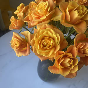 多头小玫瑰   果汁泡泡  橙色  室内 客厅 办公桌水养   顺丰空运