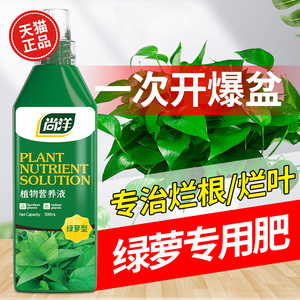 绿萝专用营养液花肥料盆栽通用绿箩专用肥家用吊兰水培植物液体肥