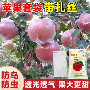 苹果袋套袋专用袋膜袋果袋套袋梨子葡萄塑料农用果树神器防虫防鸟