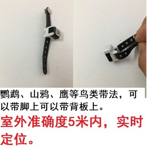 鸽子足环定位器