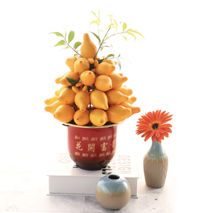 黄金果盆栽富贵果年宵观赏花卉公司开业门店开业庆典礼品盆栽好养