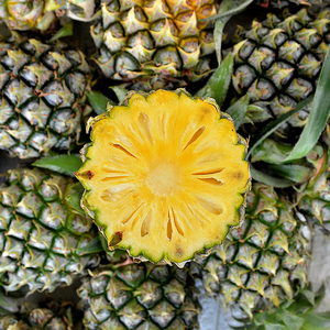 西瓜凤梨 甜度高果肉细嫩 香味浓5-6斤单个 7-9斤 2-3个装 中通