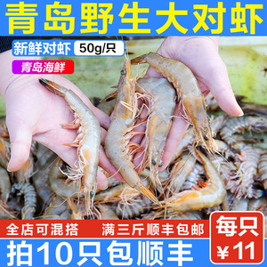 1只11元青岛大虾对虾鲜活海鲜水产活虾基围虾超大冻虾海虾鲜虾