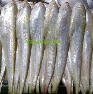 【河刀鱼】河刀鱼品牌,价格 - 阿里巴巴