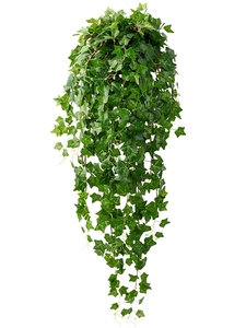 仿真爬山虎壁挂装饰藤蔓绿植塑料花藤植物绿叶假花藤条吊兰挂壁