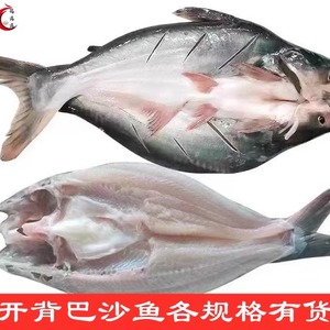 新鲜开背巴沙鱼 湄公鱼 烤鱼半成品食材整条清江鱼整箱20斤