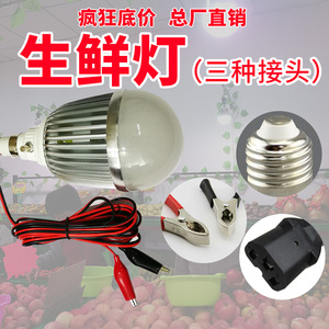 可调色水果灯12V电瓶LED加红西瓜熟食新鲜灯220V48V电动车摆摊灯