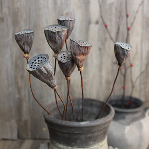 带籽大小莲蓬有莲子干莲蓬禅意中式干花真杆复古中式花瓶插花