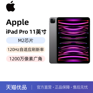 【直发】Apple/苹果 11 英寸 iPad Pro 平板电脑 2022新款