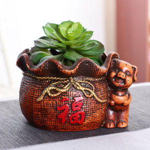猪盆发财树