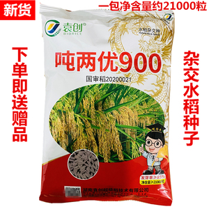吨两优900 杂交水稻种子 超级稻一季中稻 籼稻稻谷种子 中稻谷种