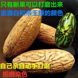 【精品果】千眼菩提子原籽原料天然绿果白果老果手串手把件菩提根