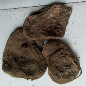 苍山灵芝堂云南野生灰马勃梨形马勃马屁包带粉500g全国包邮