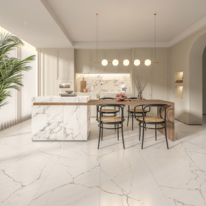 大花白柔光肌肤面大理石卫生间瓷砖600x1200法式客厅地砖厨房墙砖