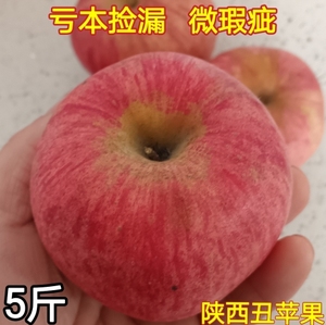 捡漏白水红富士苹果陕西应当季新鲜水果脆甜无渣丑苹果瑕疵果10斤