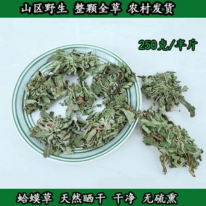 嫩草 250克癞蛤蟆草栗栗公举感兴趣的产品野生青钱柳嫩叶野生菜头肾