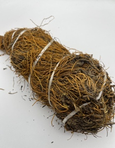 初级农副产品黄莲野生唐松草全根金丝马尾莲实图实发500g特惠包邮