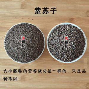 紫苏子紫苏籽鹦鹉金丝雀芙蓉鸟黄雀玉鸟鸟食鸟粮黑苏子
